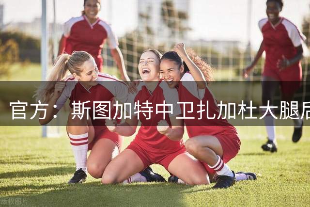 官方：斯图加特中卫扎加杜大腿后侧肌肉受伤，将缺阵数周