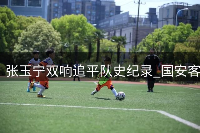 张玉宁双响追平队史纪录 国安客场遭蓉城补时绝平
