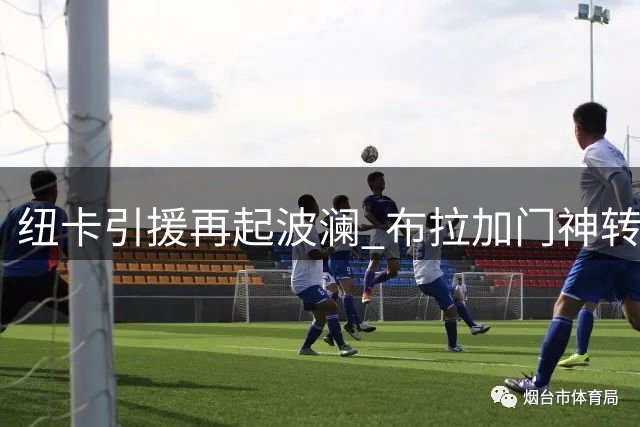 纽卡引援再起波澜 布拉加门神转会谈判陷入僵局