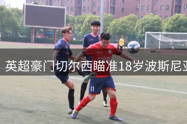 英超豪门切尔西瞄准18岁波斯尼亚新星，或将砸3000万英镑引援