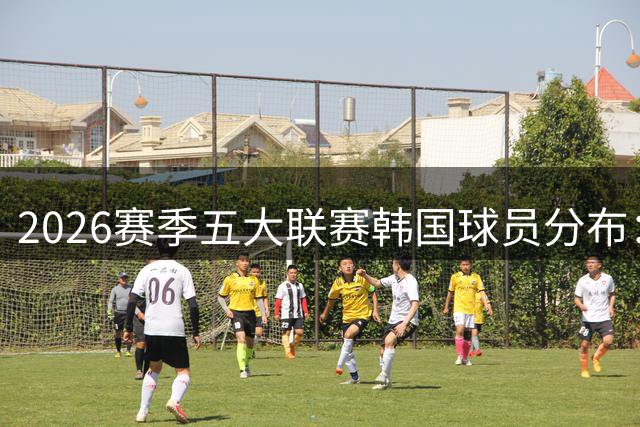 2026赛季五大联赛韩国球员分布：德甲独占六席